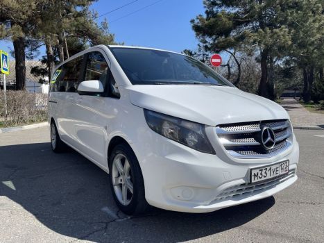 Mercedes Viano